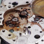 The movement stripped