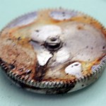 The mainspring barrel