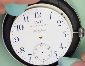 Level 2 Watch Repair Course - Maintenance Servicing