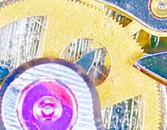 Level 5 Watch Repair Course - Depth Of Engagement