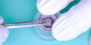 Rebuilding The Base Movement - Part 1