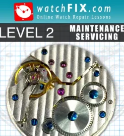 Gift: Level 2 - Maintenance Servicing