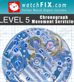 Gift: Level 5 - Servicing Chronograph Watches